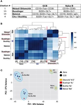 Over-Generalizing About GC (Hypoxia): Pitfalls of Limiting Breadth of Experimental Systems and Analyses in Framing Informatics Conclusions